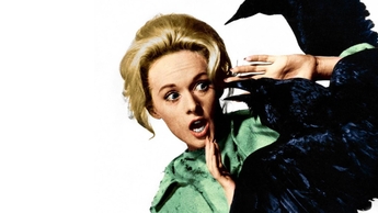 The Birds (Source: themoviedb.org)