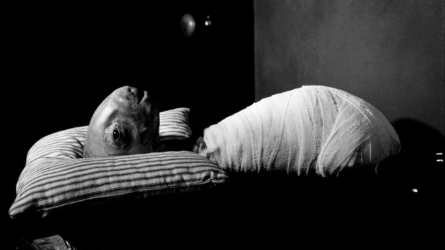 Eraserhead (Source: themoviedb.org)