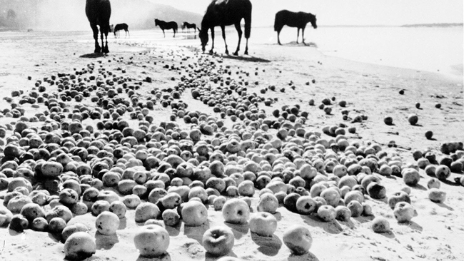 Ivanovo Detstvo (Source: themoviedb.org)