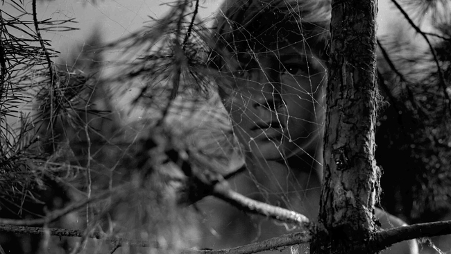 Ivanovo Detstvo (Source: themoviedb.org)