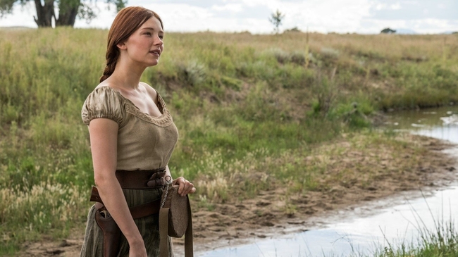 The Magnificent Seven (Source: themoviedb.org)