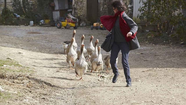 Médecin de campagne (Source: themoviedb.org)