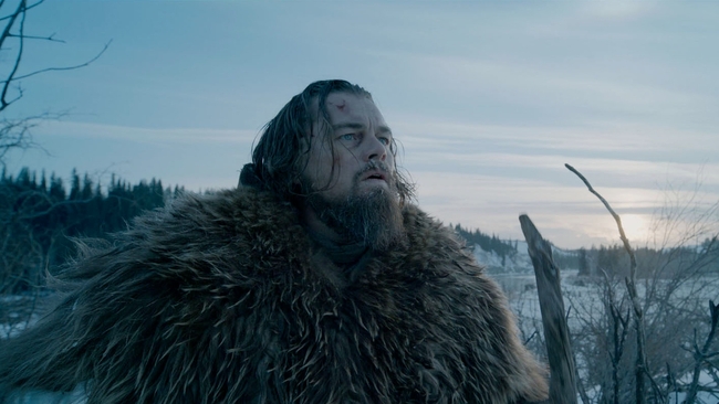 The Revenant (Source: themoviedb.org)