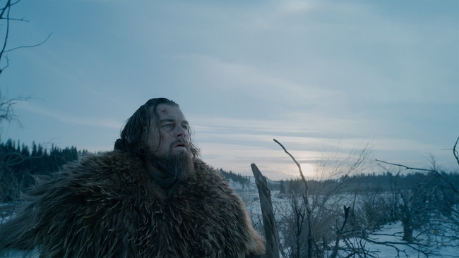 The Revenant (Source: themoviedb.org)