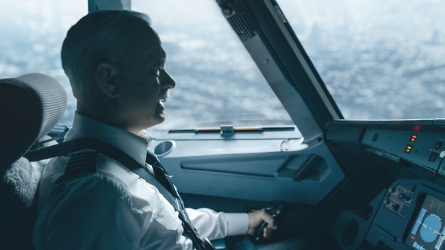 Sully (Source: themoviedb.org)