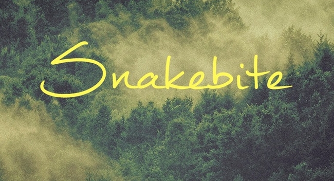 Snakebite