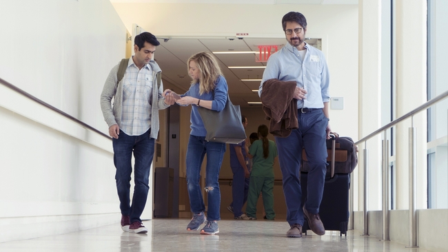 The Big Sick (Source: themoviedb.org)