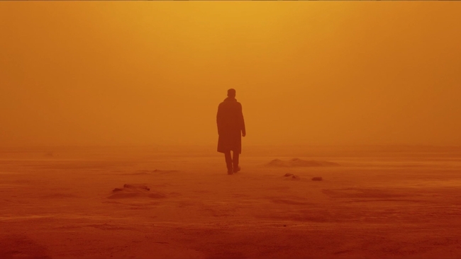 Blade Runner 2049 (Source: themoviedb.org)