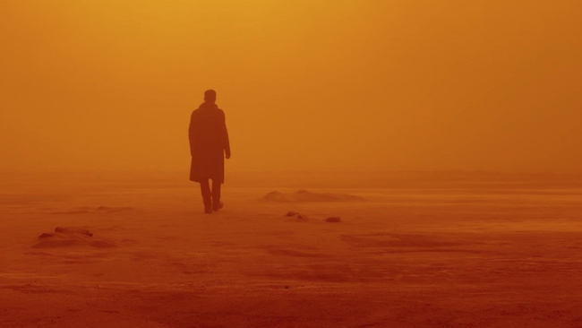 Blade Runner 2049 (Source: themoviedb.org)