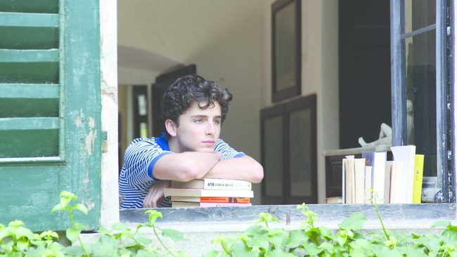 Call Me By Your Name (Source: themoviedb.org)