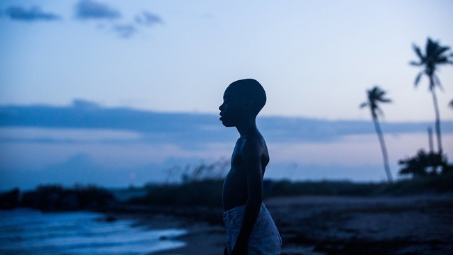 Moonlight (Source: themoviedb.org)