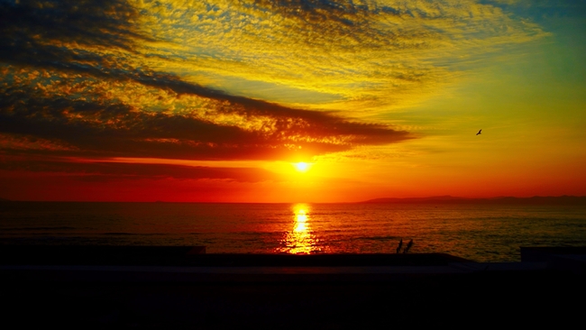 ®CasaAzulFilms-EcranNoir