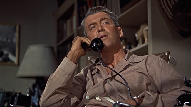 Rear Window (Source: themoviedb.org)