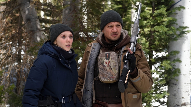 Wind River (Source: themoviedb.org)