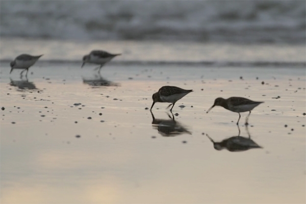 Beyond the Fear of Singing