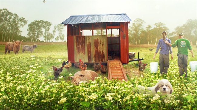 The Biggest Little Farm