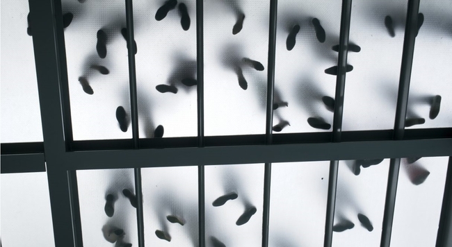 Renzo Piano: L'architetto della luce Poster (Source: mindjazz pictures)