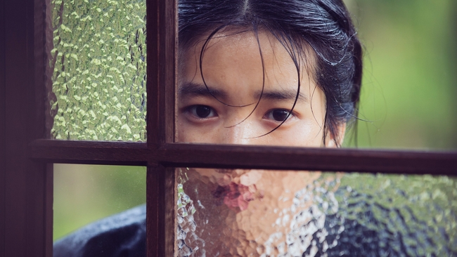 Ah-ga-ssi (Source: themoviedb.org)