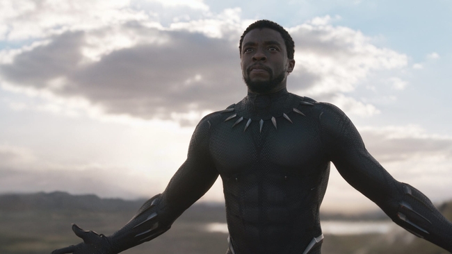 Black Panther (Source: themoviedb.org)