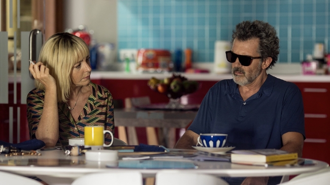 Dolor y gloria (Source: themoviedb.org)