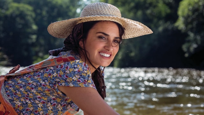 Dolor y gloria (Source: themoviedb.org)