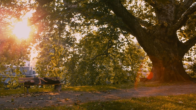 La vie d'Adèle (Source: themoviedb.org)