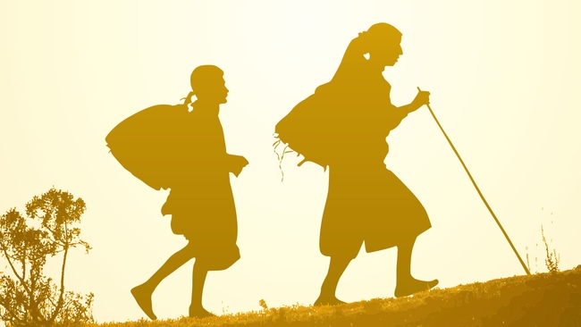 Honeyland (Source: themoviedb.org)