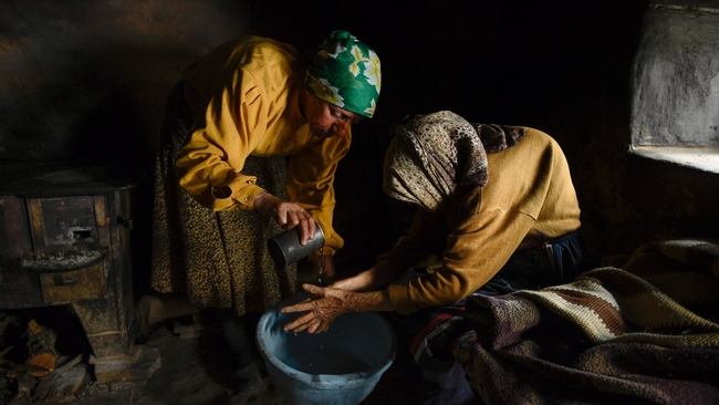 Honeyland (Source: themoviedb.org)