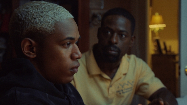 Waves (Source: themoviedb.org)