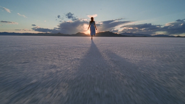 The Tree of Life (Source: themoviedb.org)