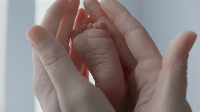 The Tree of Life (Source: themoviedb.org)