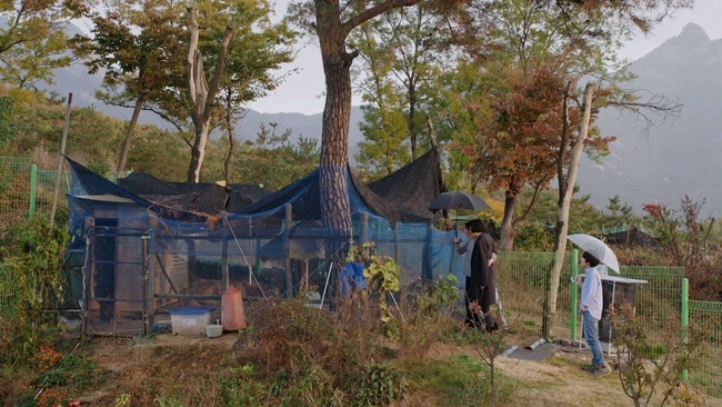 The Woman who Ran (Source: themoviedb.org)