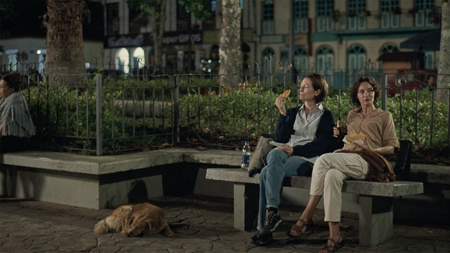 Memoria (Source: themoviedb.org)