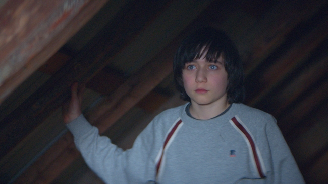 Anatomy of a Fall (Source: themoviedb.org)