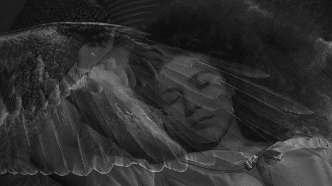 Der Himmel über Berlin (Source: themoviedb.org)