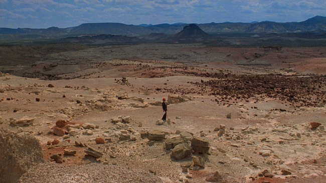 Paris, Texas (Source: themoviedb.org)