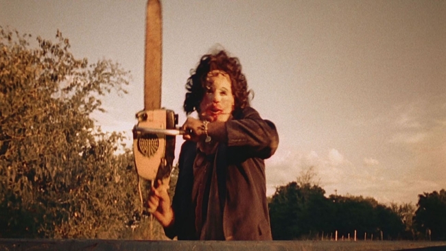 The Texas Chain Saw Massacre (Source: themoviedb.org)