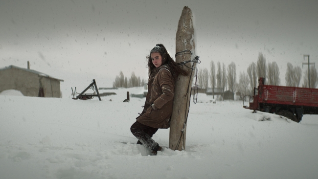 About Dry Grasses (Source: themoviedb.org)