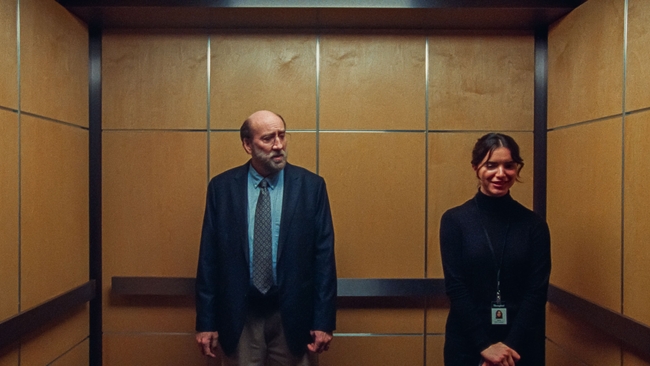 Dream Scenario (Source: themoviedb.org)