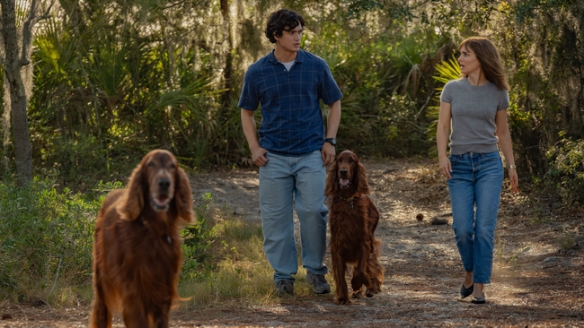 May December (Source: themoviedb.org)