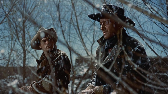 The Searchers (Source: themoviedb.org)