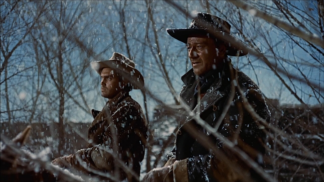 The Searchers (Source: themoviedb.org)