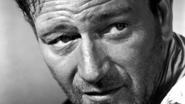 The Searchers (Source: themoviedb.org)