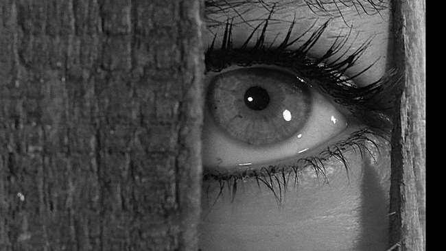 The Trial (Source: themoviedb.org)