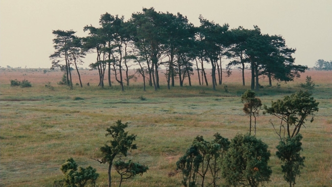 Offret (Source: themoviedb.org)