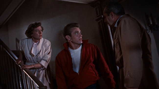 Rebel Without a Cause (Source: themoviedb.org)