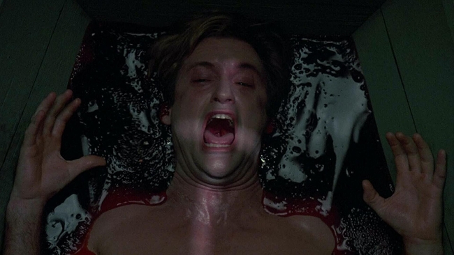 The Serpent and the Rainbow (Source: themoviedb.org)