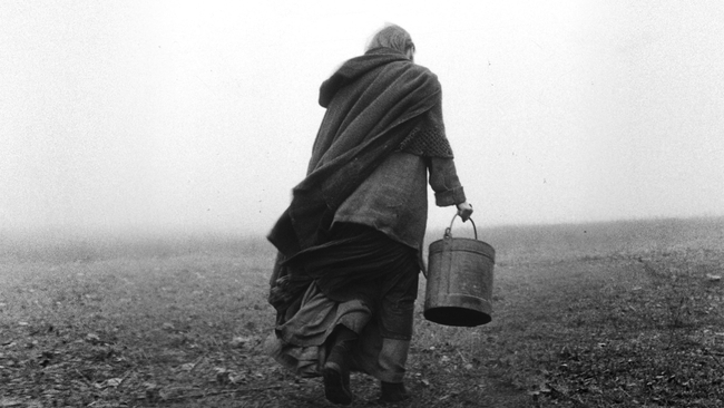 The Turin Horse (Source: themoviedb.org)