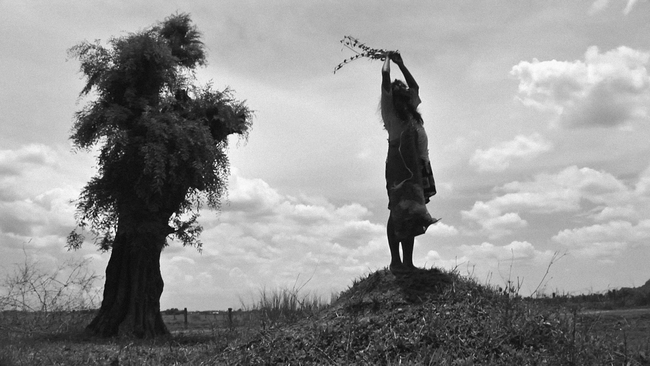 The Turin Horse (Source: themoviedb.org)