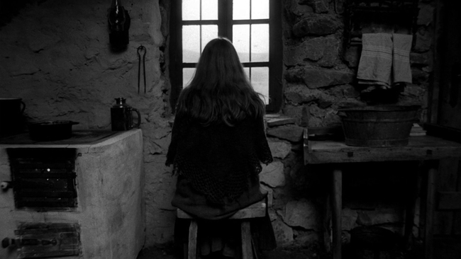 The Turin Horse (Source: themoviedb.org)